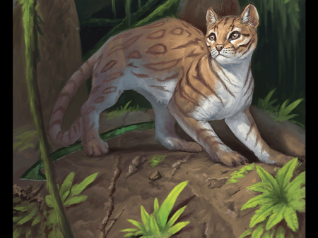 Cat Token [Modern Horizons 3 Tokens] Fashion