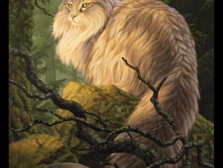 Cat    Beast (025) Double-Sided Token [Bloomburrow Commander Tokens] Discount