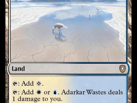 Adarkar Wastes [Bloomburrow Commander] For Sale