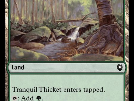 Tranquil Thicket [Bloomburrow Commander] on Sale