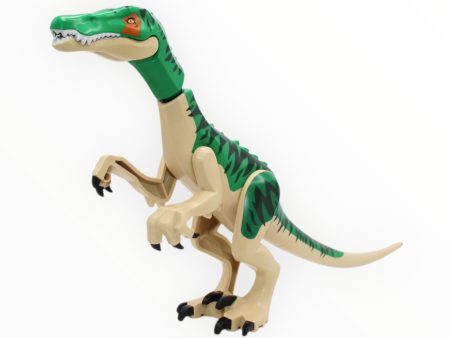 Baryonyx (green with tan underbelly) Fashion